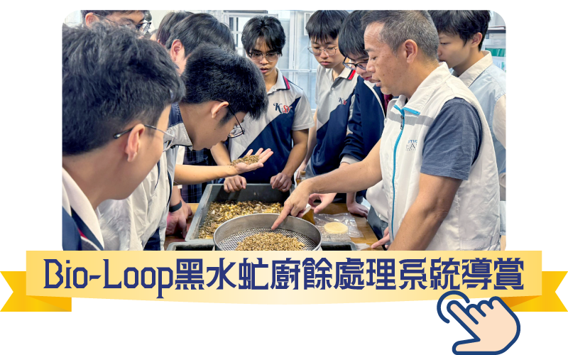 報名表格 6